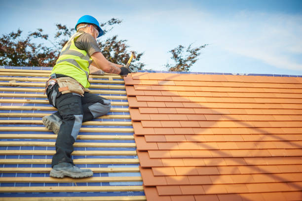 Best Roofing for New Construction  in Wallace, FL